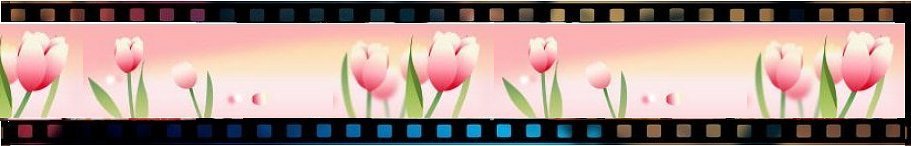 �O���h������y�����z���^�n���G�����n��������I